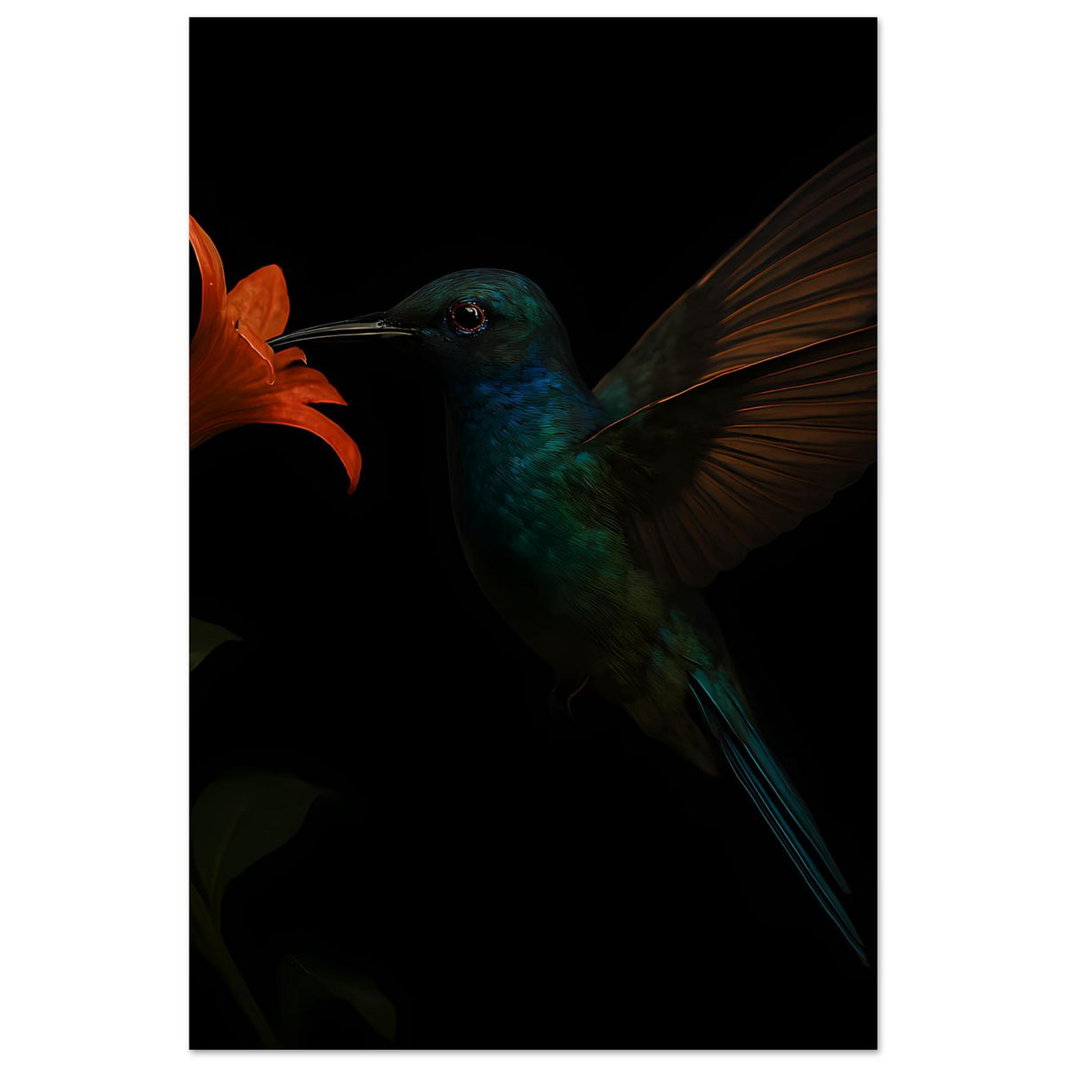 Kunstdruck: Kolibri in Petrol mit orangefarbener Blüte, lange Schnabelansicht, dunkel