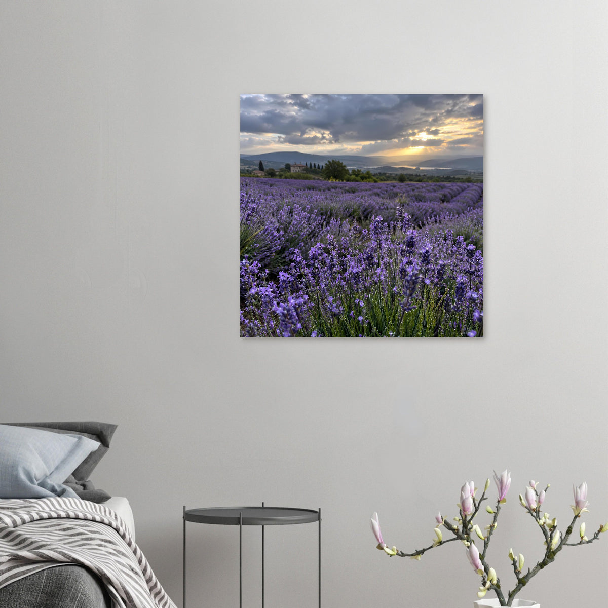 Kleines Quadrat-Poster mit Lavendelfeld und Sonnenuntergang, violette Blumen im Vordergrund