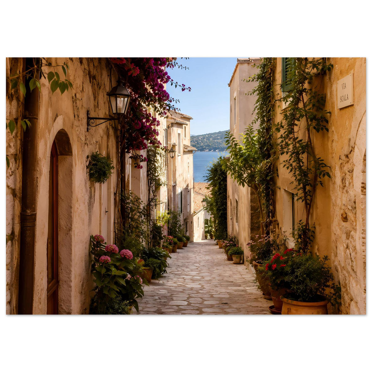 Gerahmtes Poster: mediterrane Gasse mit beigen Wänden, Efeu und violetten Blüten