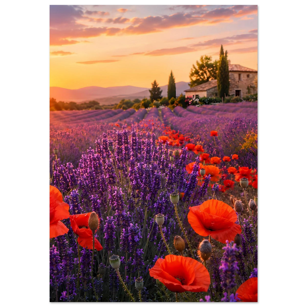 Blumenfeld-Poster im Hochformat mit violettem Lavendelfeld, orangefarbenem Mohn und Sonnenuntergang