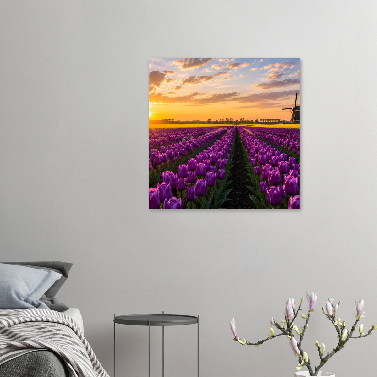Kleines Poster mit violettem Tulpenfeld, mittigem Weg und Windmühle rechts im Sonnenuntergang