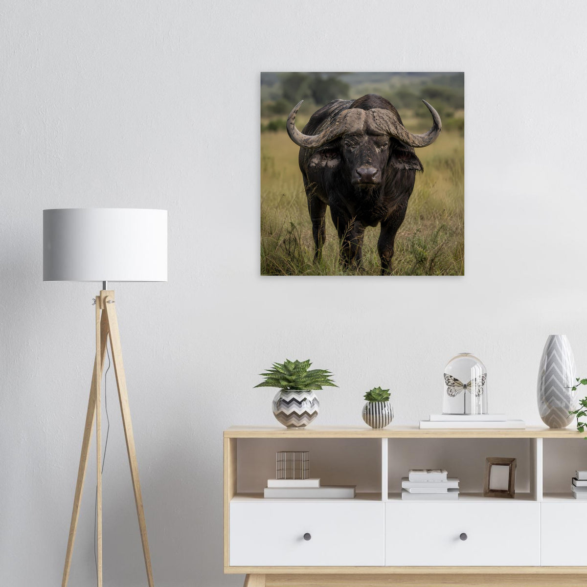 Poster mit schwarzem Büffel auf Savanne, Kopf nach vorn