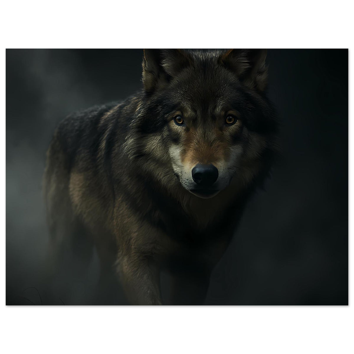 Wolfsposter mit Nahaufnahme eines grauen Wolfs, Blick nach vorn, horizontal