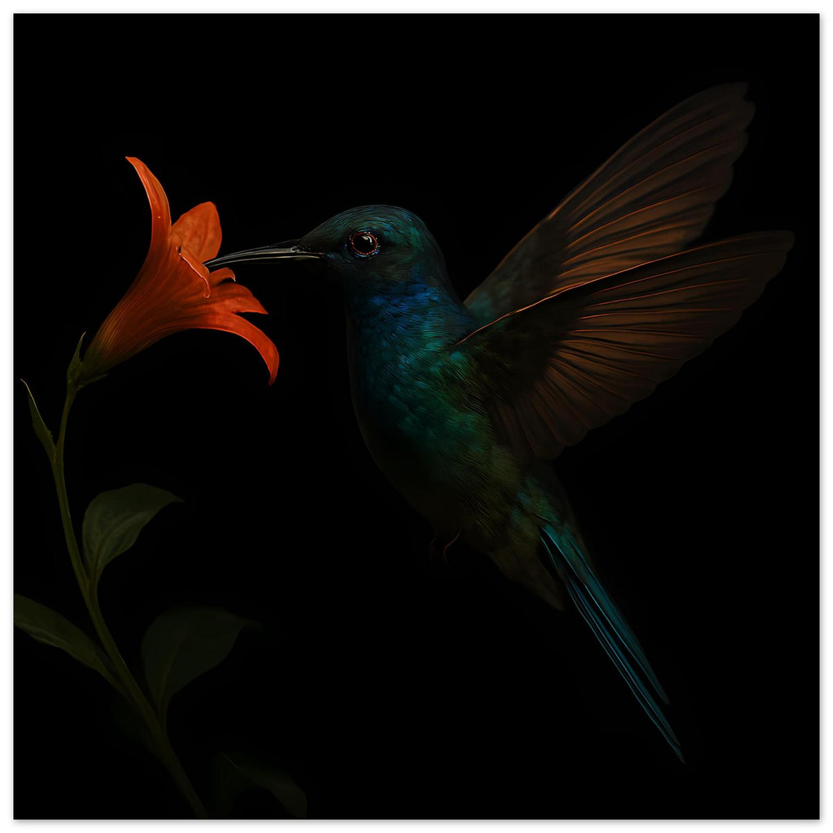 Kunstdruck: Kolibri in Petrol mit orangefarbener Blüte, Flügel breit, dunkle Farbfläche