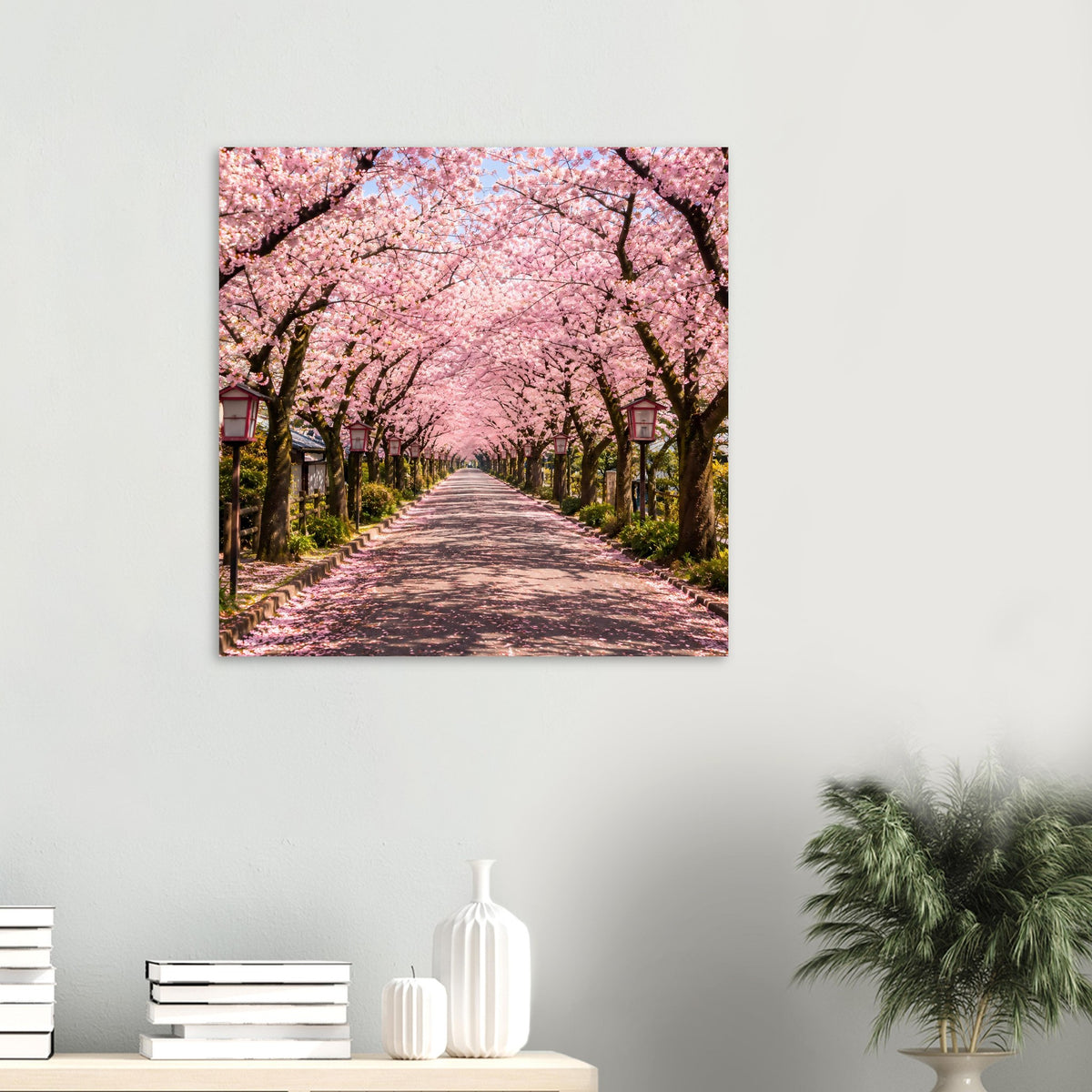 Quadratisches Poster mit pink blühender Kirschblütenallee und Weg im Vordergrund
