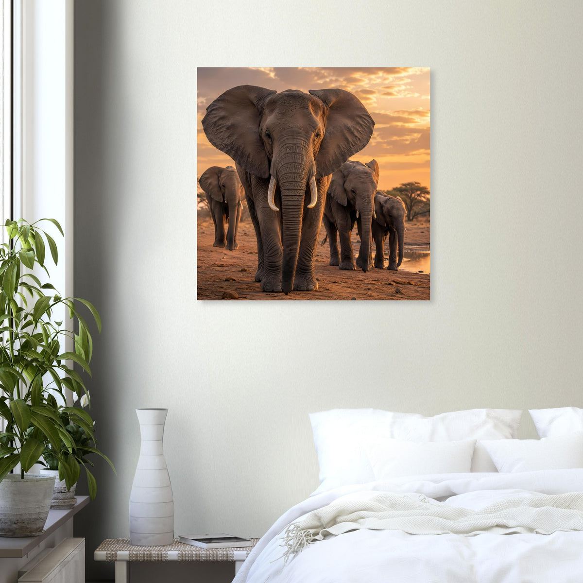 Quadratisches Poster mit Elefantenherde, frontal bei warmem Abendhimmel mit Wolken