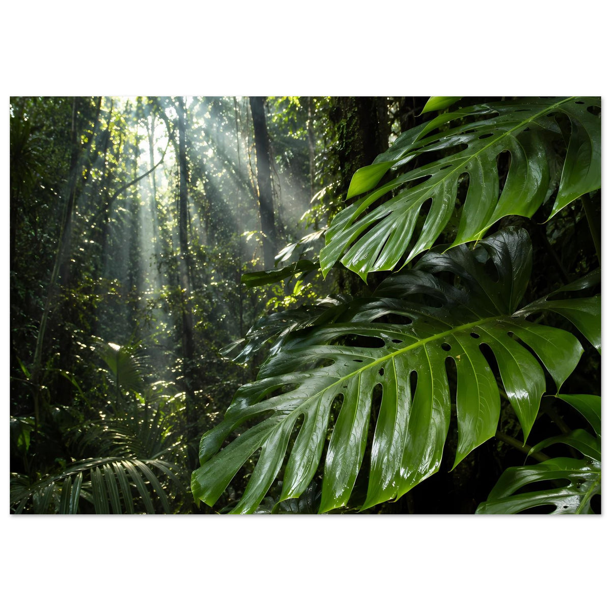 Dschungelposter mit grünen Monstera-Blättern und Dschungelkulisse, horizontales Layout