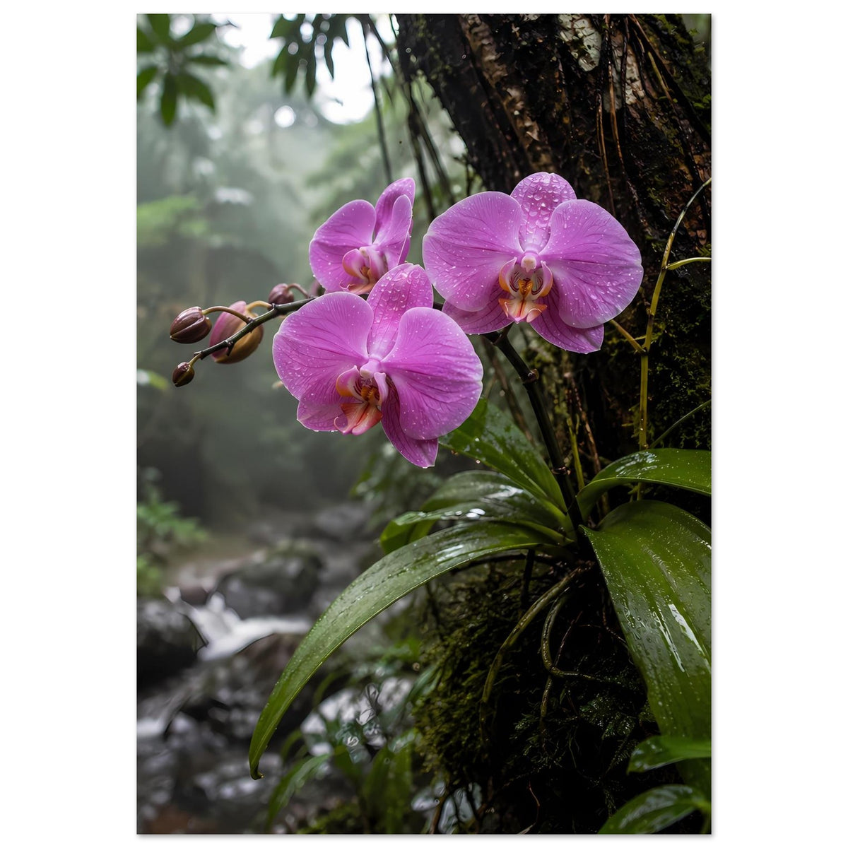 Poster im Hochformat mit lila Orchideenblüten, grünen Blättern und Tropenwald-Fluss im Hintergrund