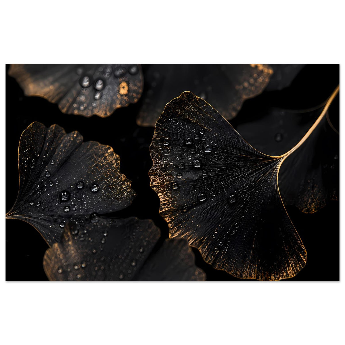 Ginkgo-Blatt Poster mit dunklen Blättern, Wassertröpfchen und goldenem Akzent, Querformat