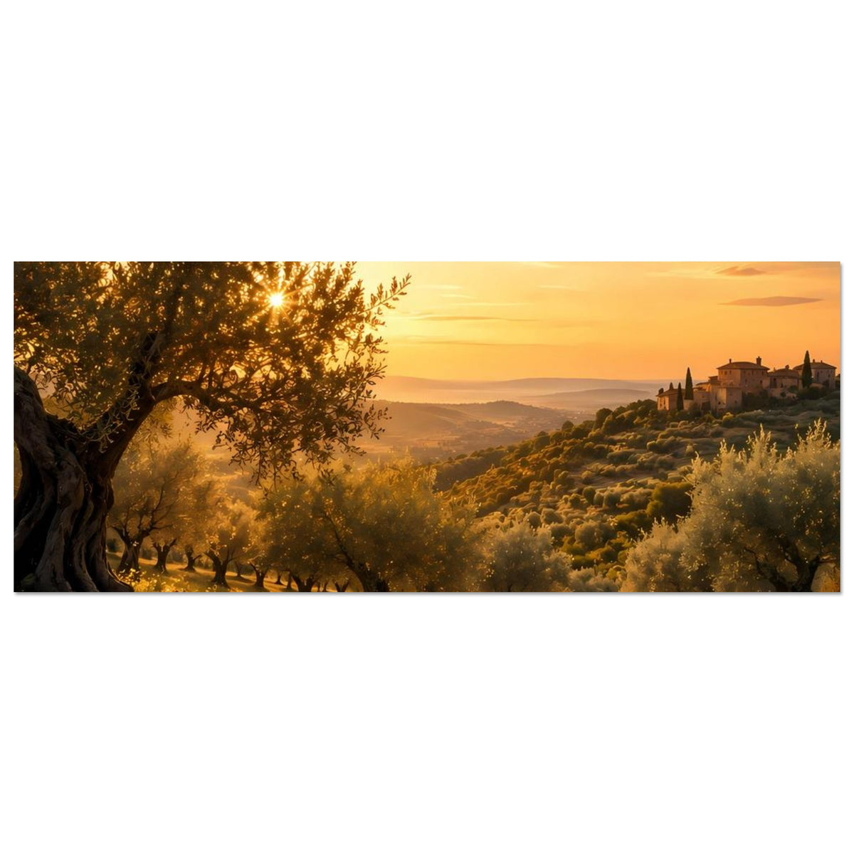 Panorama-Poster: Olivenhain und Feldweg, Dorf am Hang im goldenen Abendhimmel