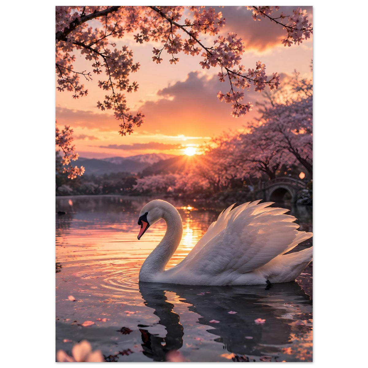 Poster mit weißem Schwan am See bei Sonnenuntergang, Blütenzweige und Bogenbrücke im Hintergrund