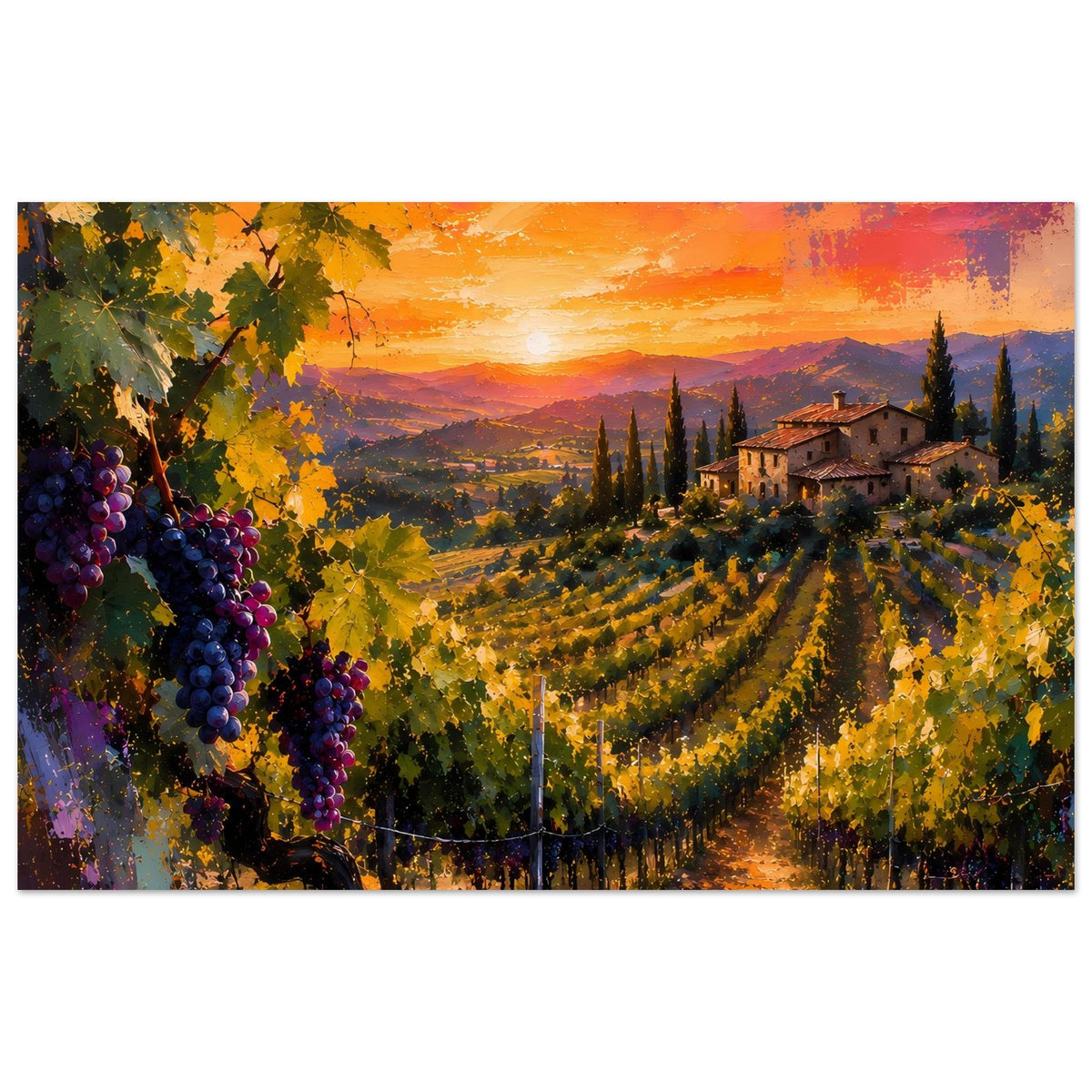 Querformat-Poster: Weinberg mit Häusern rechts und Trauben links, Himmel in Orange-Rosa Tönen.