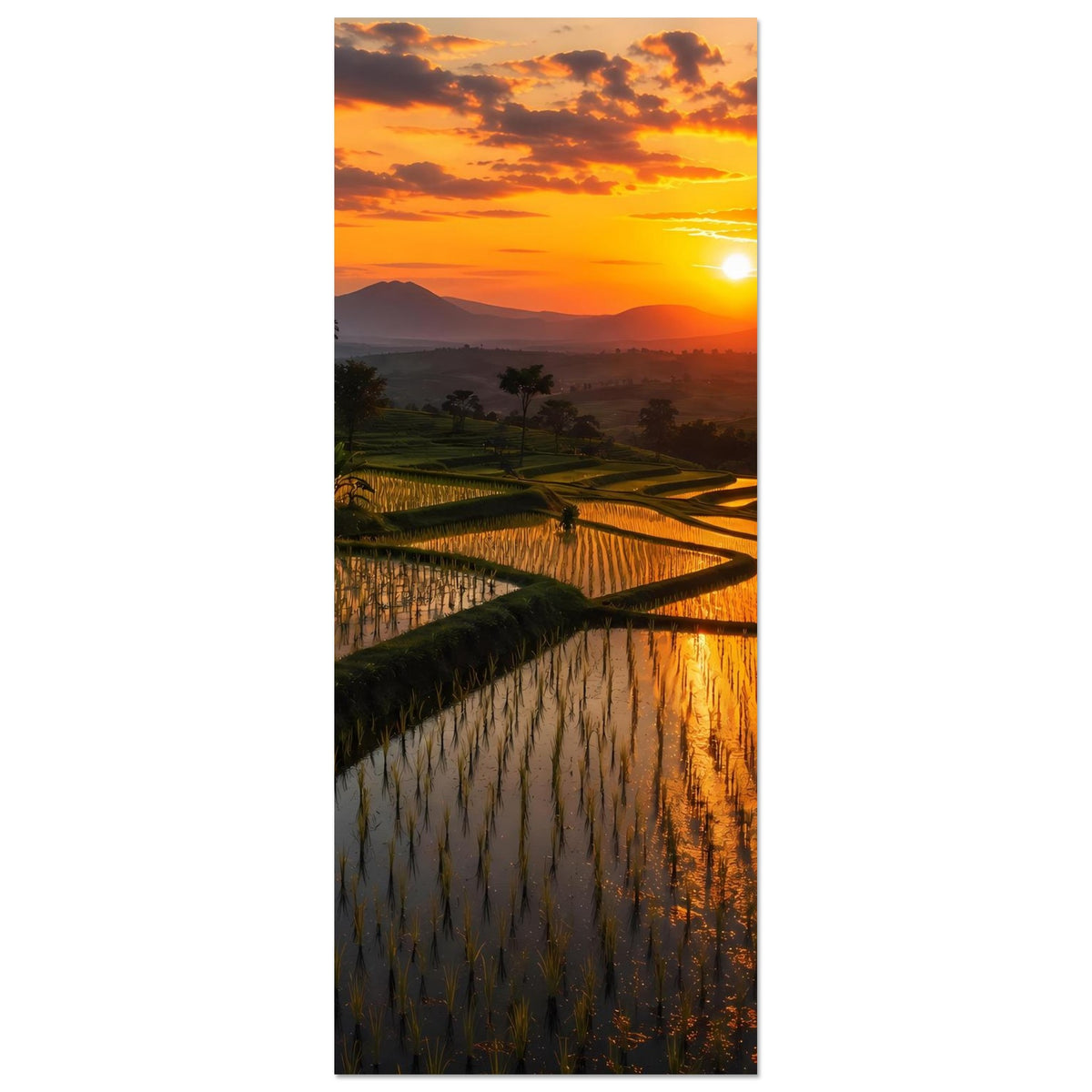 9c23f0b2-5770-49ca-82af-9e5f280cc906