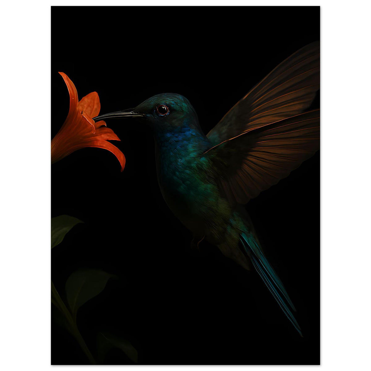 Kunstdruck: Kolibri in Petrol mit orangefarbener Blüte, nach rechts ausgerichtet, dunkel