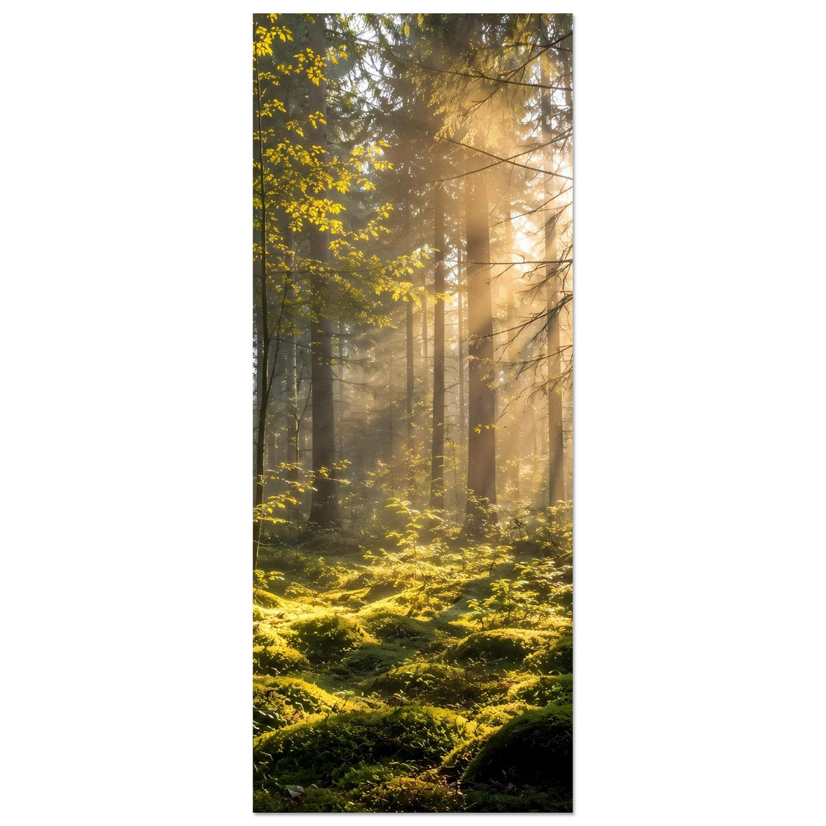 Vertikales Waldlandschafts-Poster mit Sonnenaufgang, Baumreihen und moosigem Untergrund