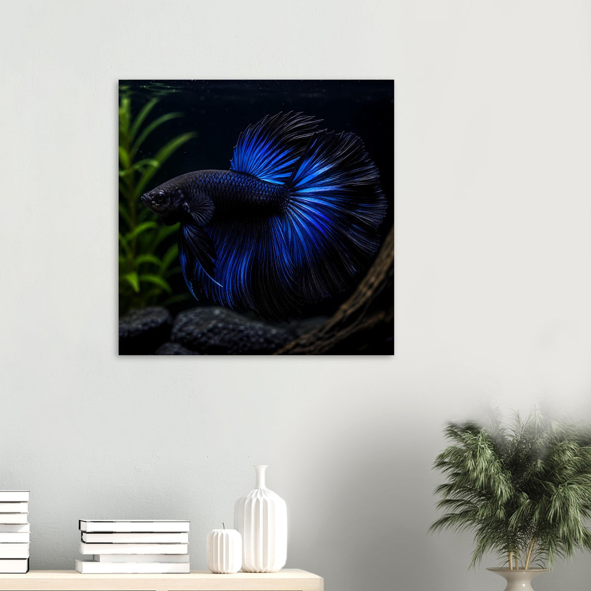 Poster mit blauem Kampffisch (Betta) klein im Bild, Flossenfächer sichtbar