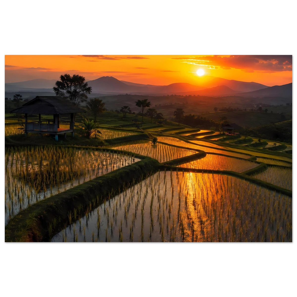 9d74587c-9d4f-4eae-81a4-b86ef33cff03
