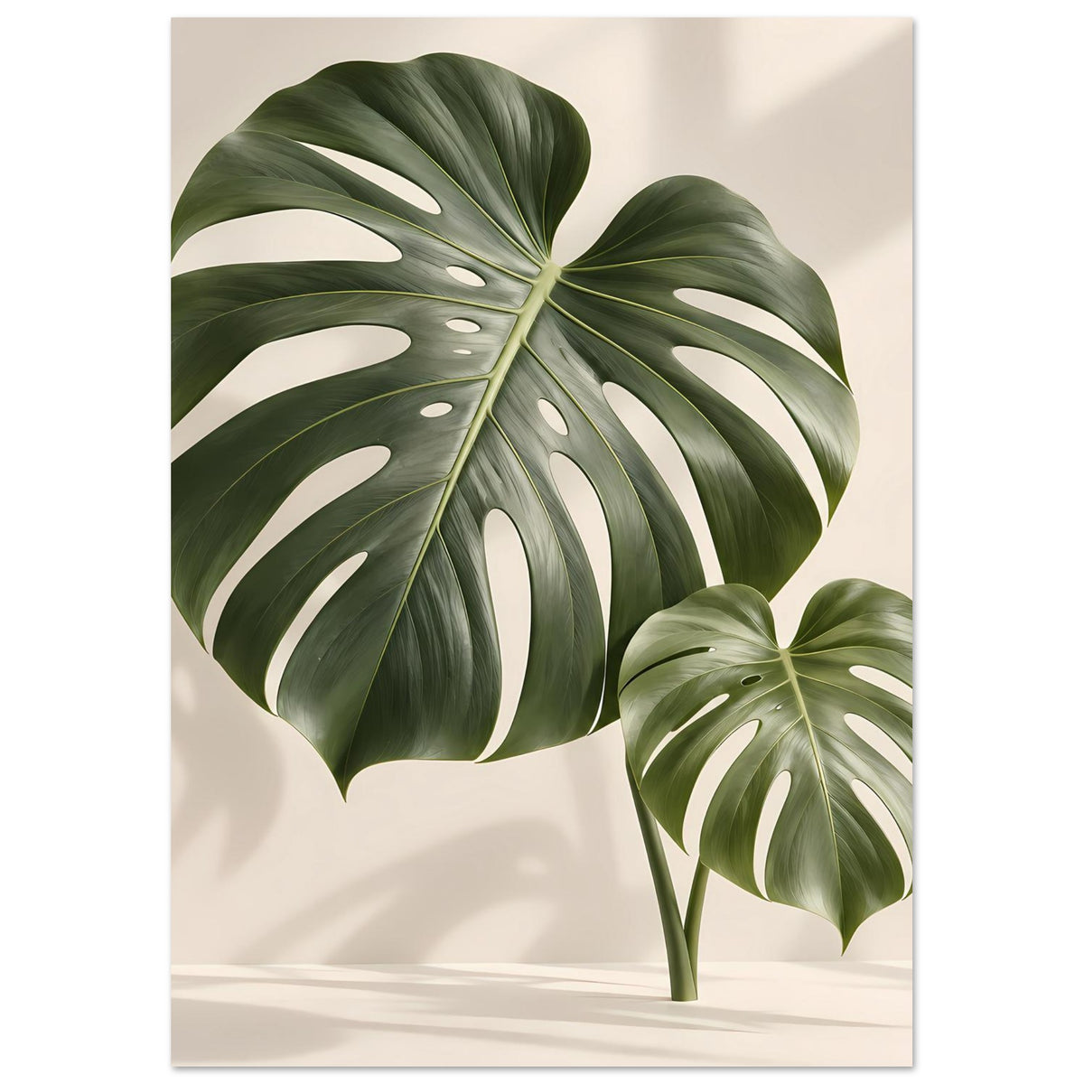 Botanisches Poster mit großen Monstera-Blättern, gedruckt als Detailansicht