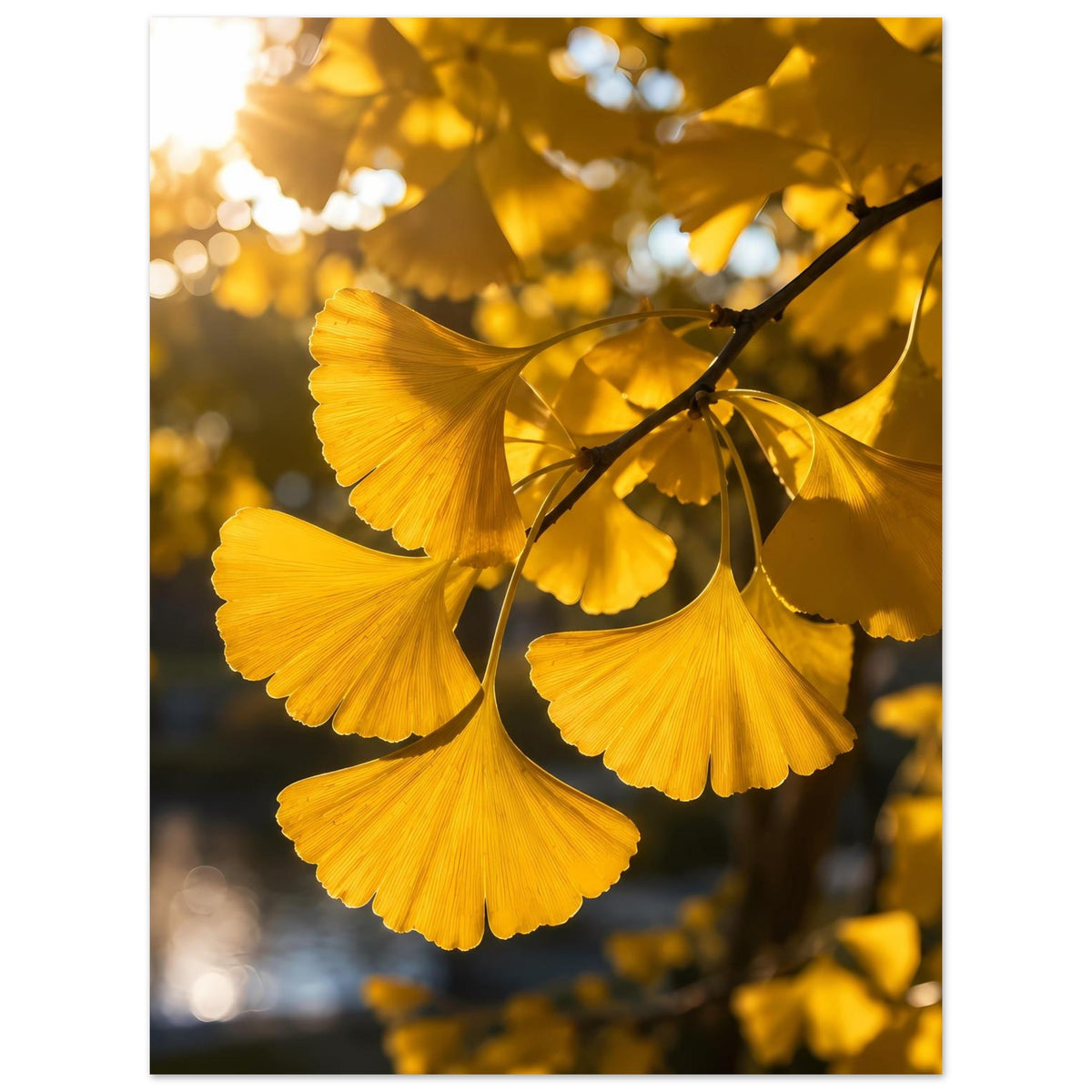 Botanisches Poster mit goldenen Ginkgoblättern am Ast, vertikal