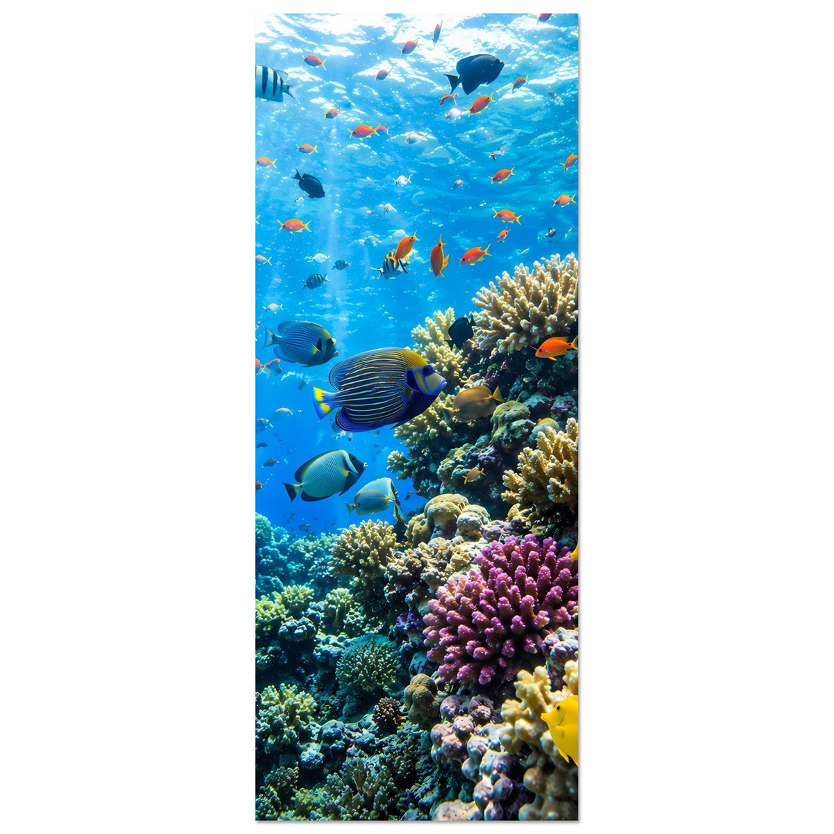 Unterwasser-Fischposter mit Korallenriff: bunte Schwarmfische vor Korallenriff