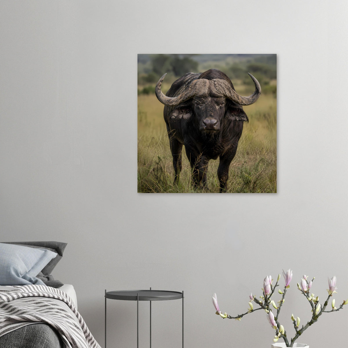 Kleines Poster mit afrikanischem Büffel, im Gras, große Hörner und dunkles Fell