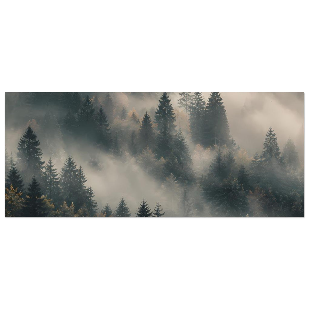 Poster im Querformat mit Tannenwald und Nebelschwaden, Hintergrundbäume leicht versetzt