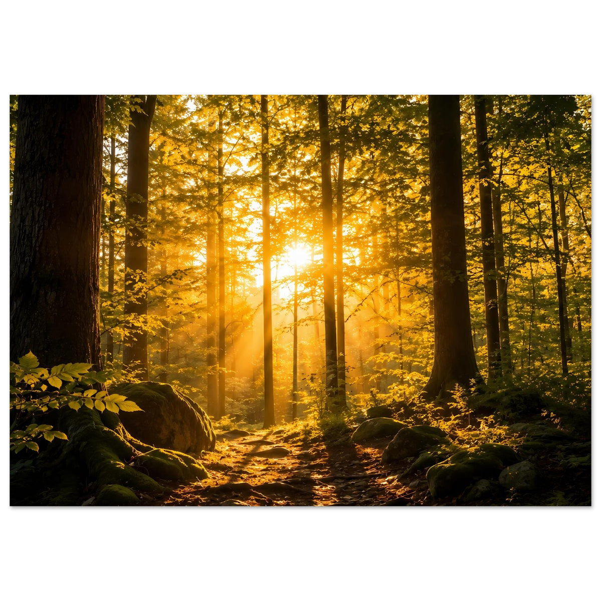 Wandposter mit Waldweg und goldener Morgenhelle, Sonnenstrahlen durch den Wald