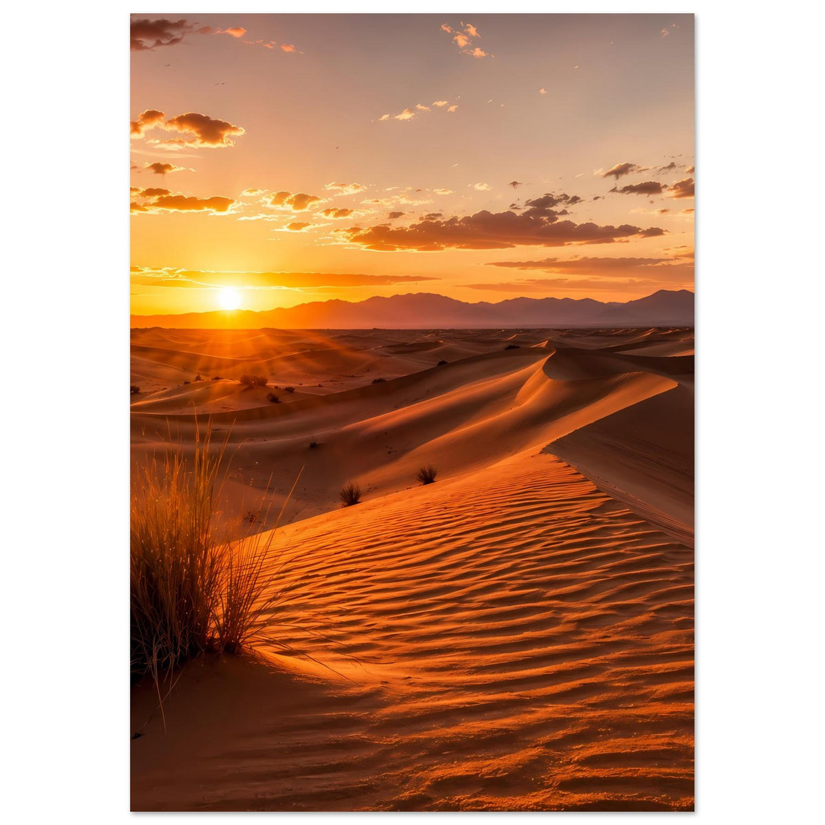 Wüstenlandschafts-Poster mit Sonnenaufgang, Dünen und langem Schatten im Sand