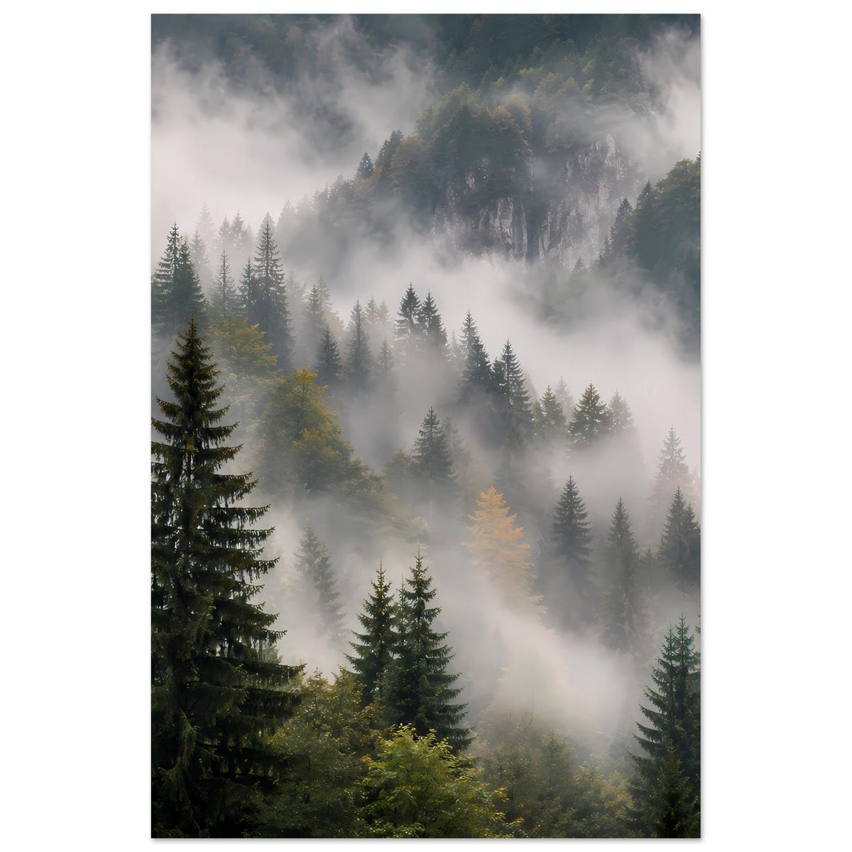 Waldnebel-Poster mit Tannenbäumen, Hochformat mit verschwindendem Nebel