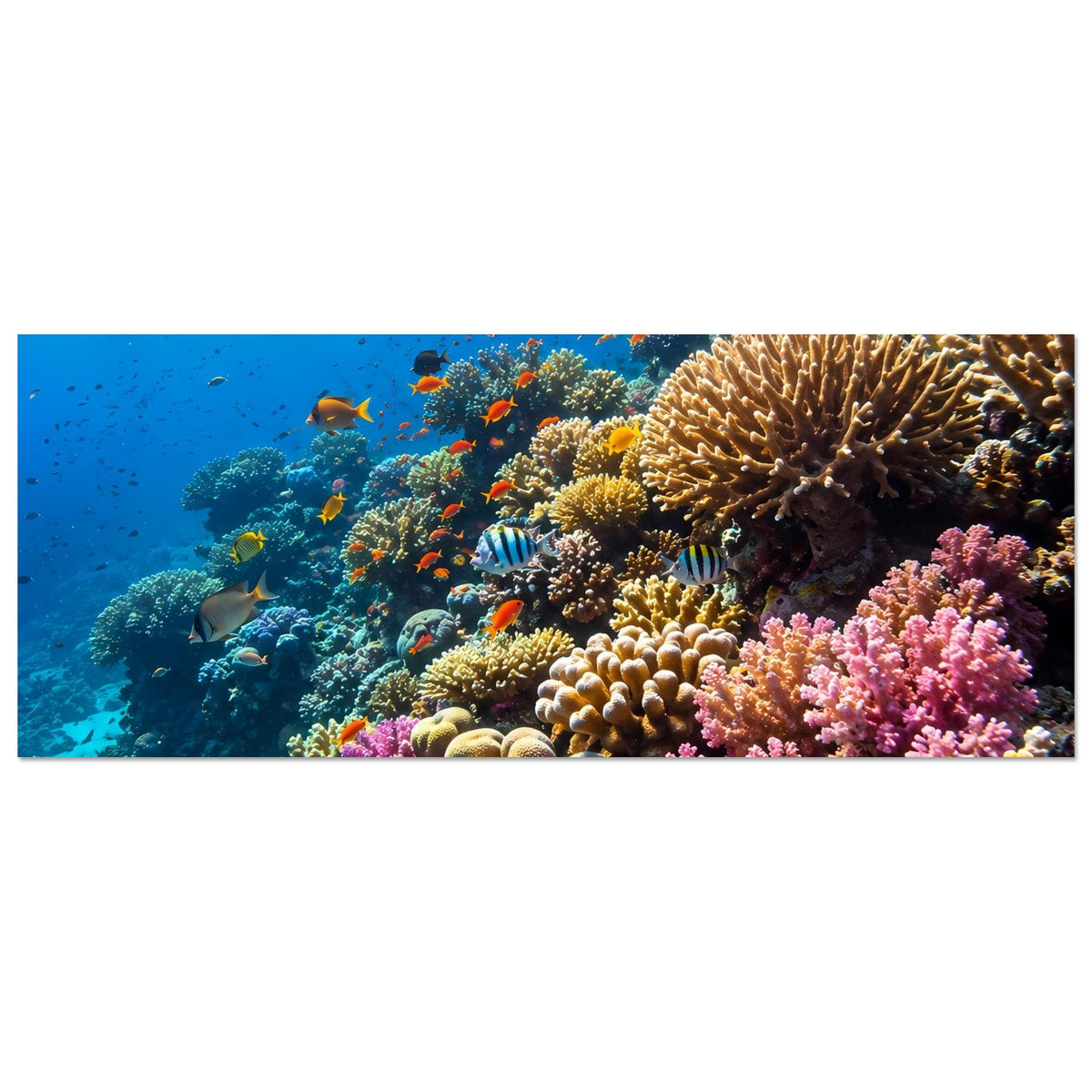 Korallenriff-Poster mit bunten Korallen und tropischen Fischen, horizontal