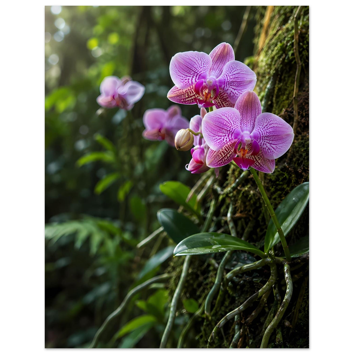 Botanisches Poster mit pinken Orchideenblüten und grünen Blättern, mit weißem Rand