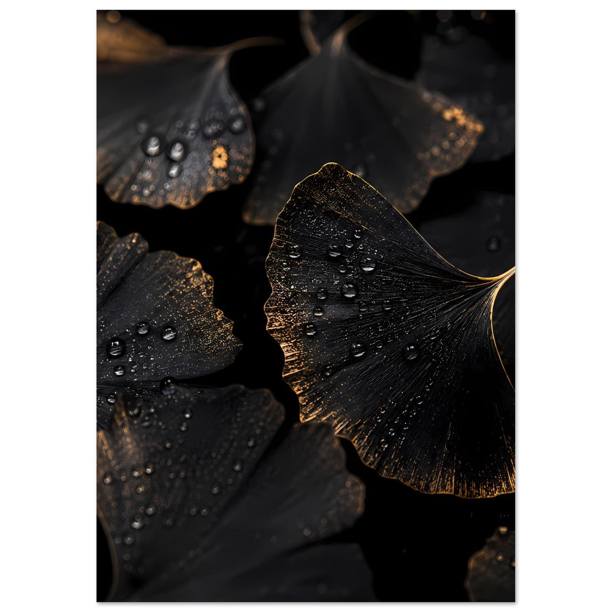 Poster: Ginkgo-Blätter in Schwarz mit goldenen Details, Tropfen auf der Blattoberfläche