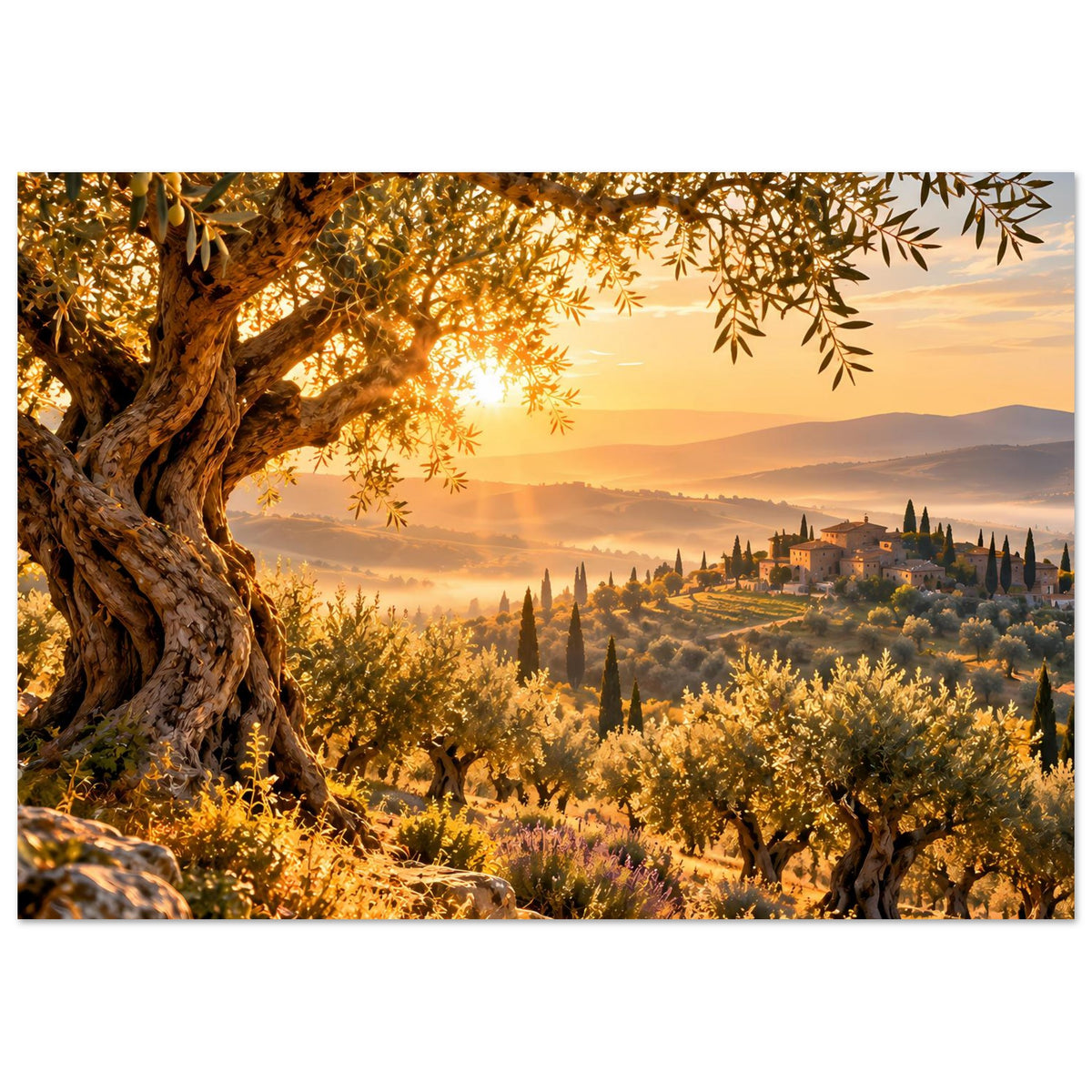 Landschaftsposter mit Olivenbaum, goldenem Sonnenaufgang über Hügeln und Zypressen