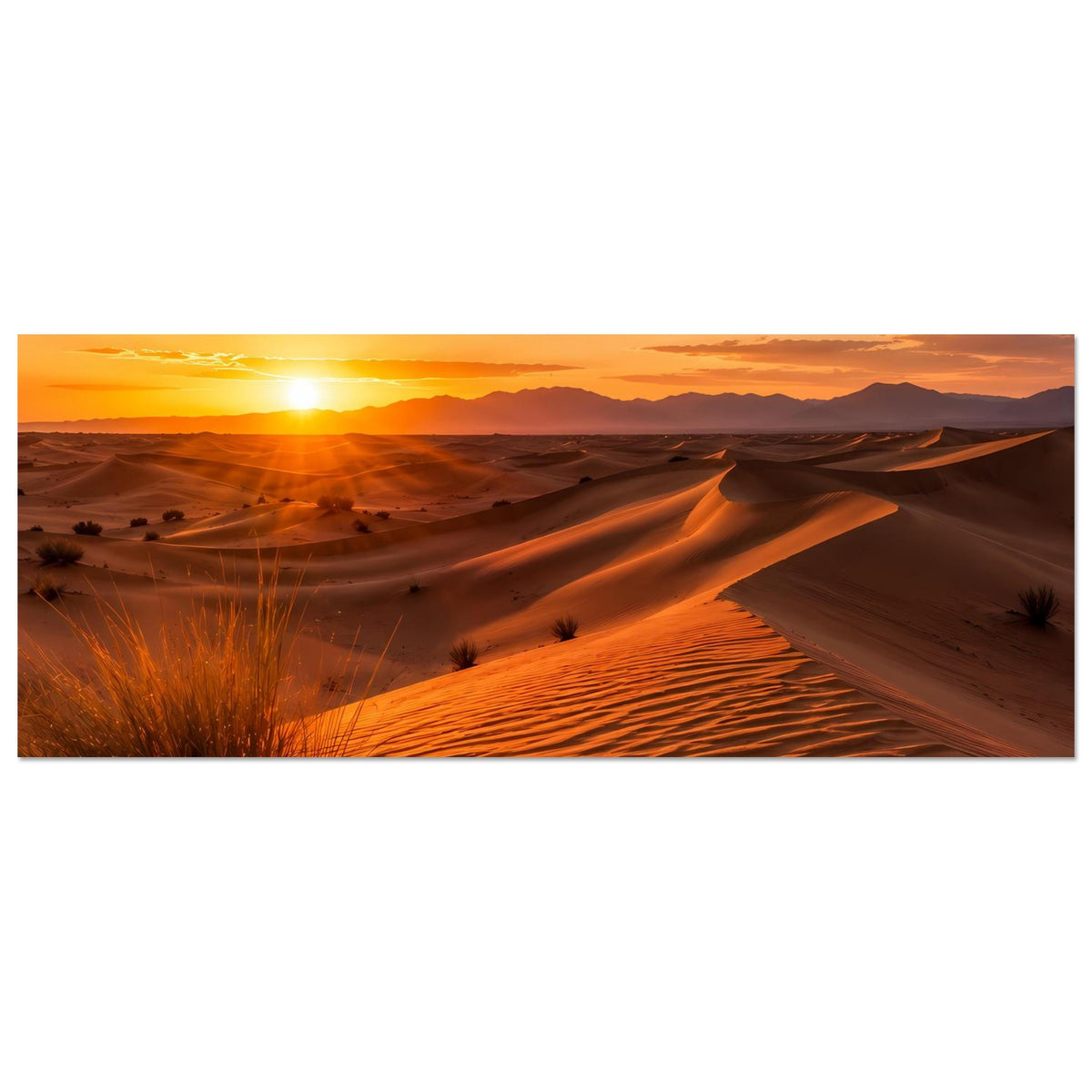 Horizontales Wüstenposter mit Sanddünen, tiefstehender Sonne und Dünenlinien im Abendlicht