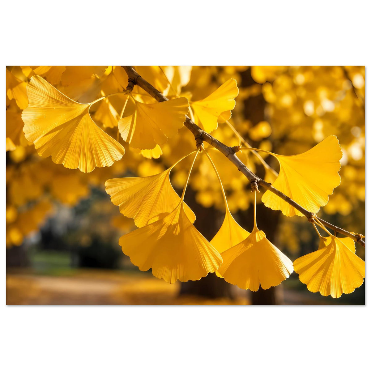 Poster mit goldenen Ginkgo-Blättern an dunkelbraunem Zweig