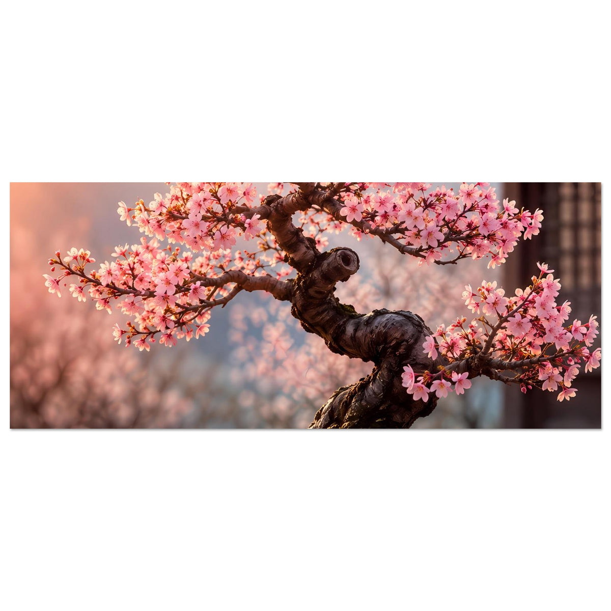 Horizontales Bonsai-Blütenposter mit rosa Blütenzweigen und dunklem Stamm in Schale