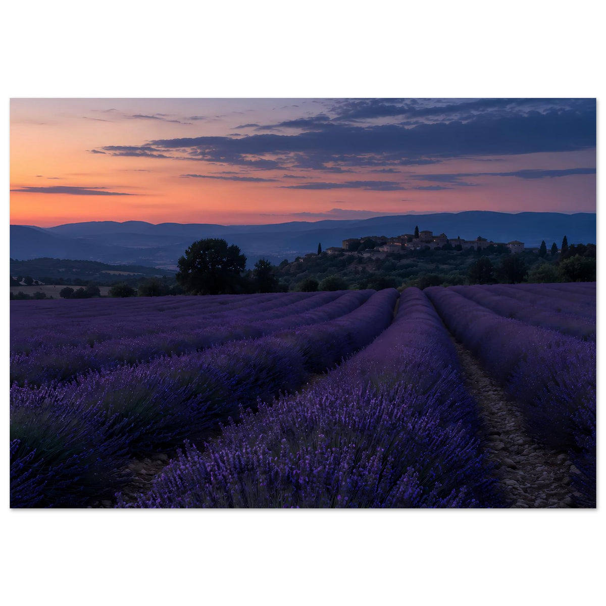 Wandposter mit Lavendelfeld und Abendhimmel, klare Aussicht auf Landschaft im Panorama