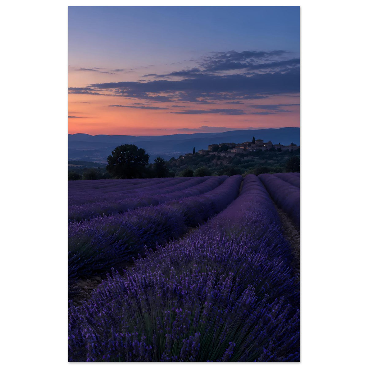 Vertikales, blau gerahmtes Poster mit Lavendelfeld bei Sonnenuntergang und weitem Talblick