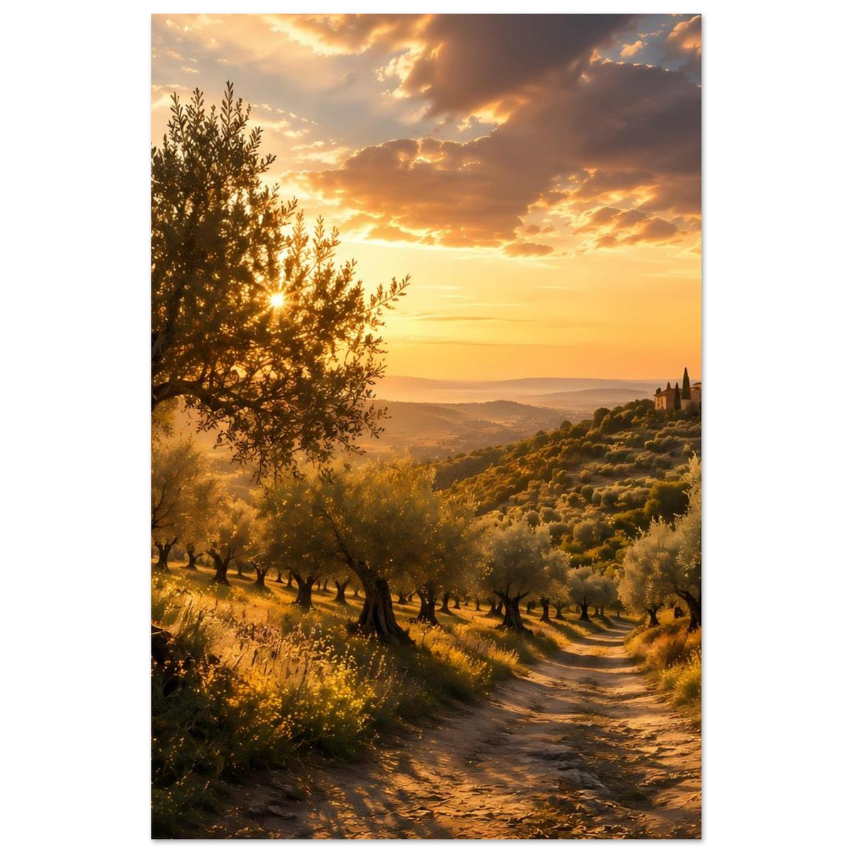 Poster mit Olivenhain und Feldweg, Dämmerung über Hügeln und Dorf im Warmton