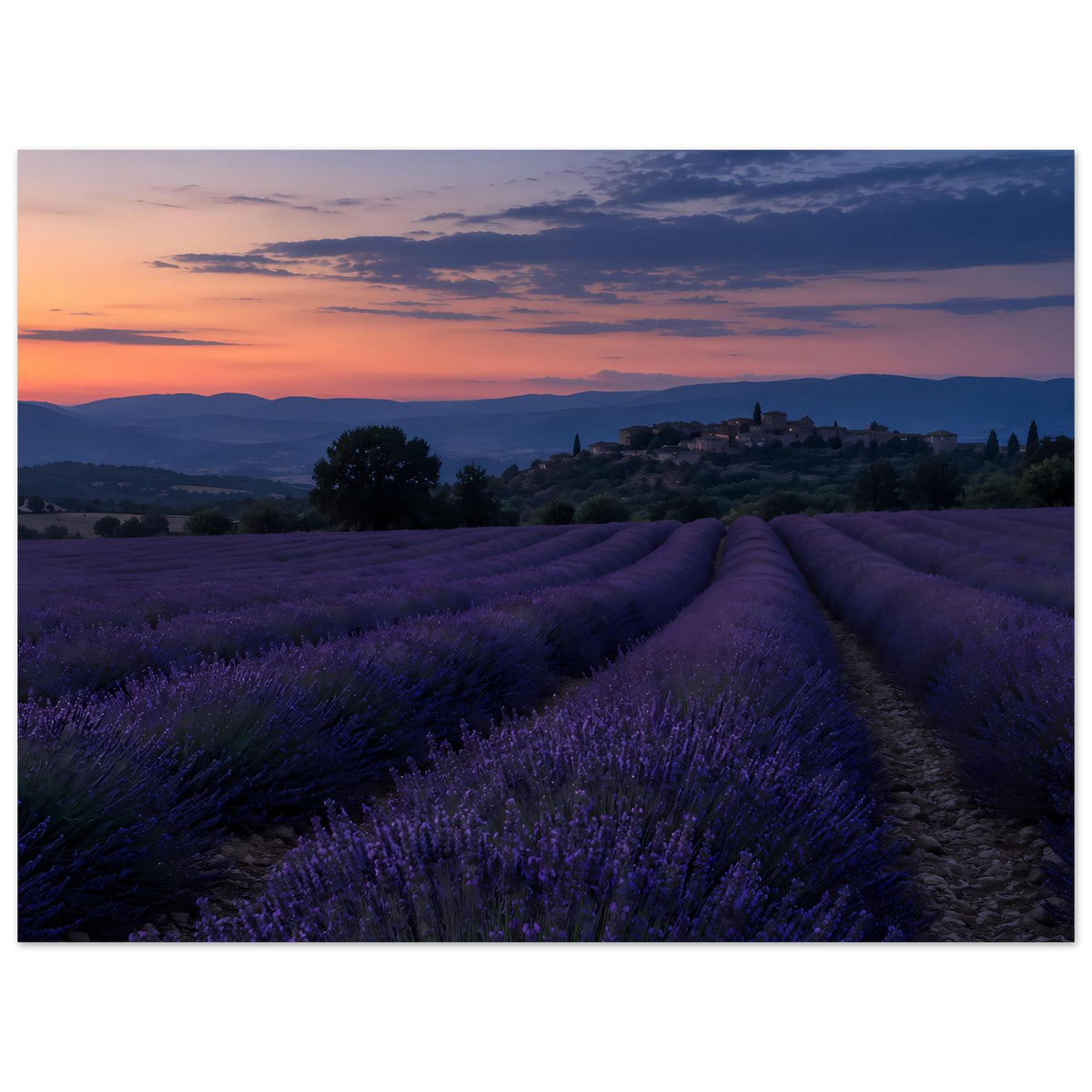 Horizontales Poster mit Lavendelreihen, lila beleuchtetem Weg und Sonnenuntergang über Hügeln.