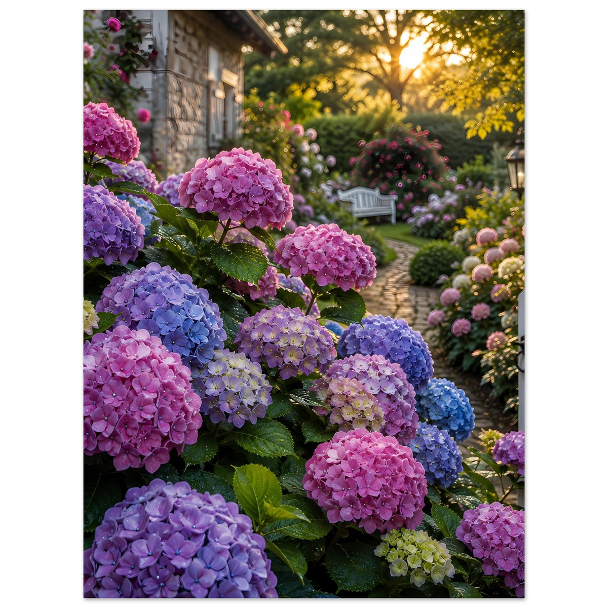 Poster mit Hortensien in Pink, Violett und Blau vor grünem Laub, Gartenmotiv