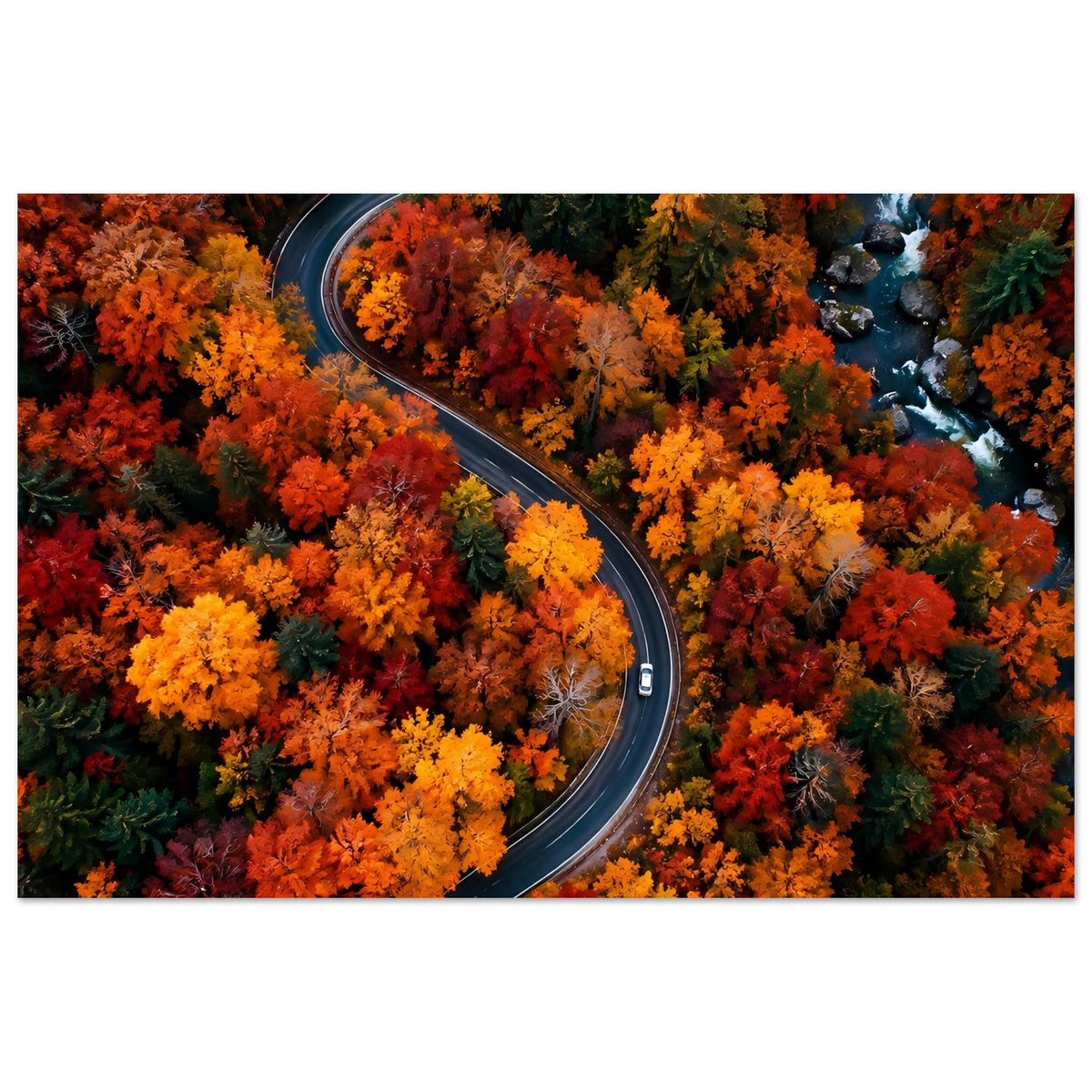 Herbstliches Poster im Hochformat: Straße zwischen orangefarbenem und rotem Laub
