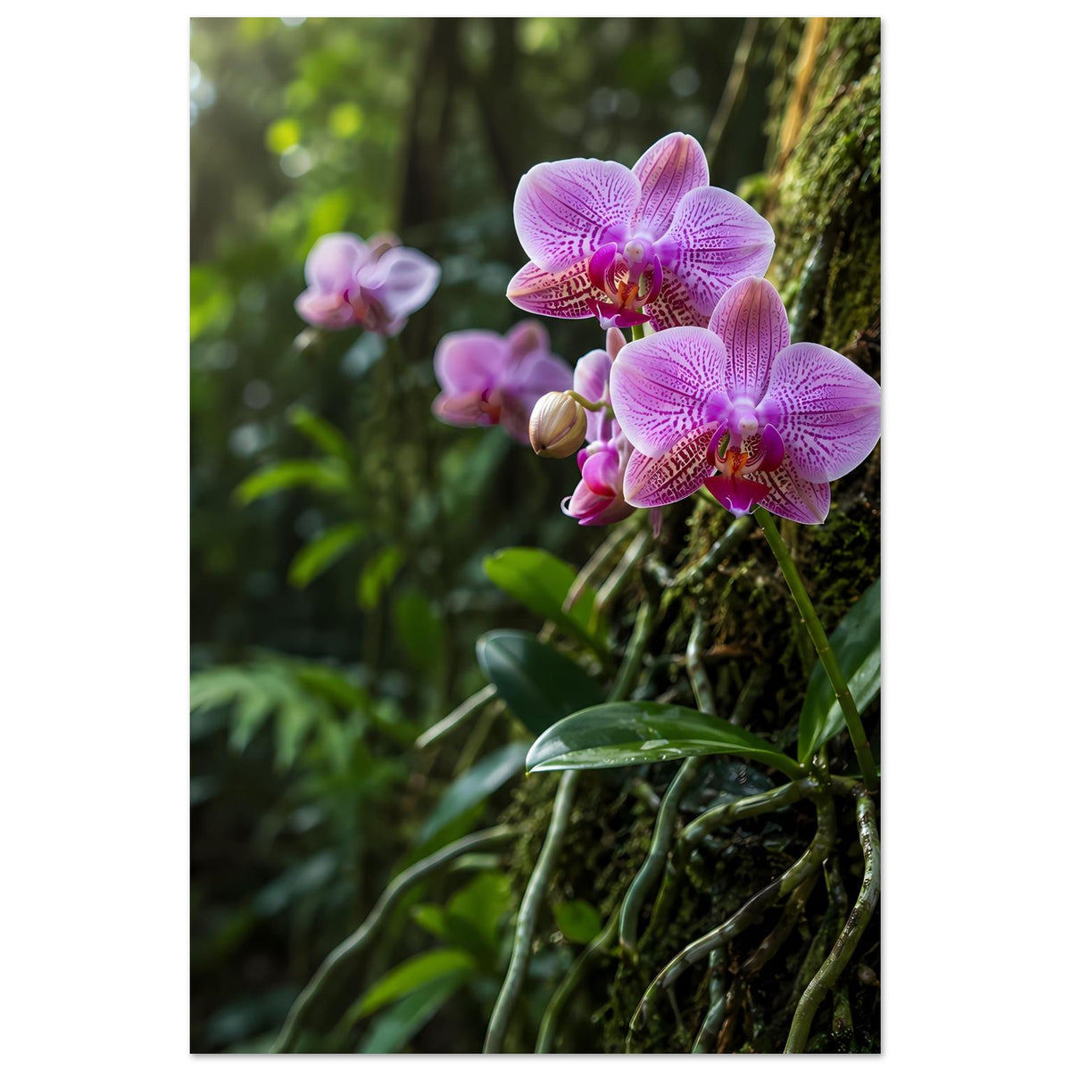 Botanisches Poster mit lila-pinken Orchideenblüten und grünen Blättern, Hochformat