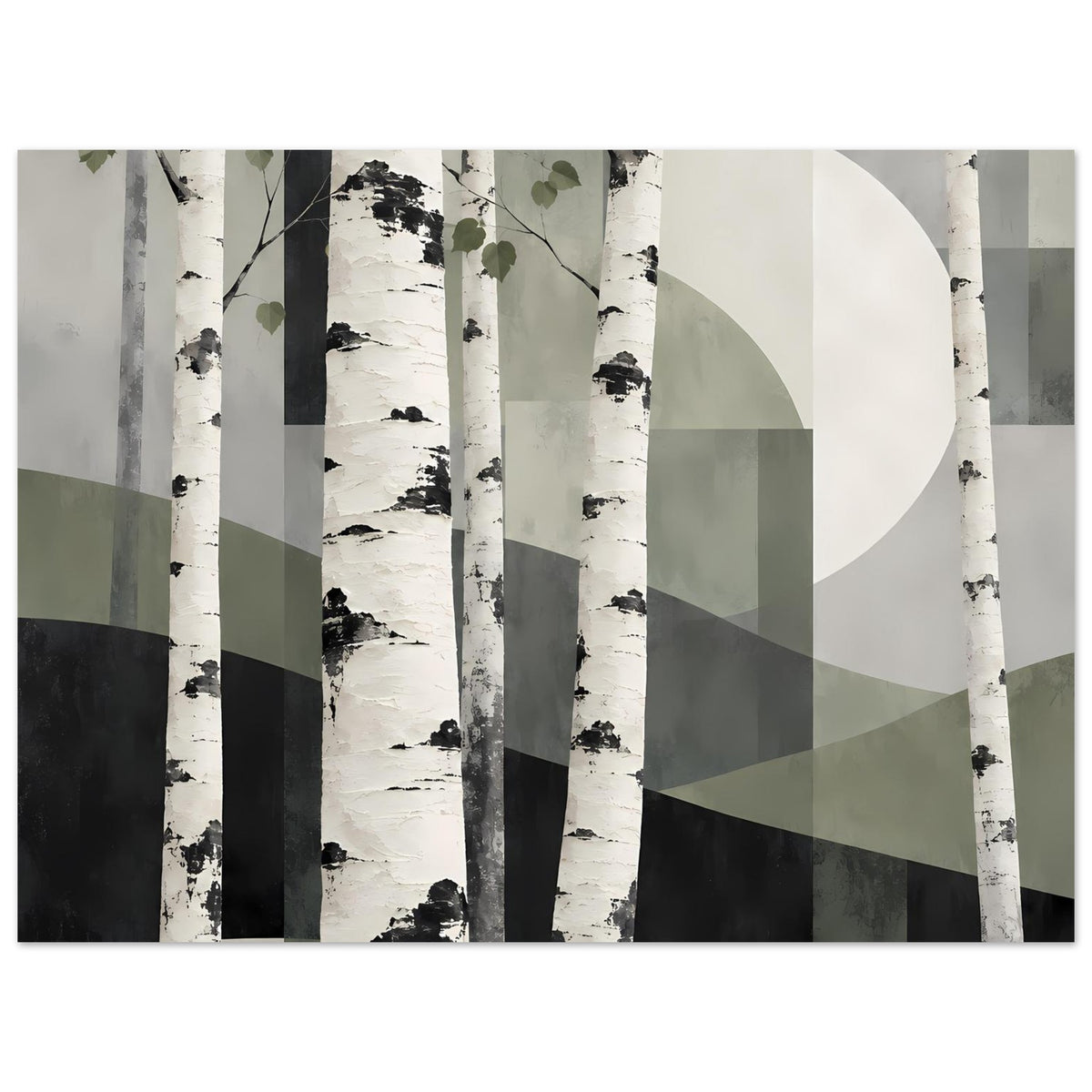 Naturposter Birkenwald, große Kreisfläche rechts, Blockmuster und Birkenstämme