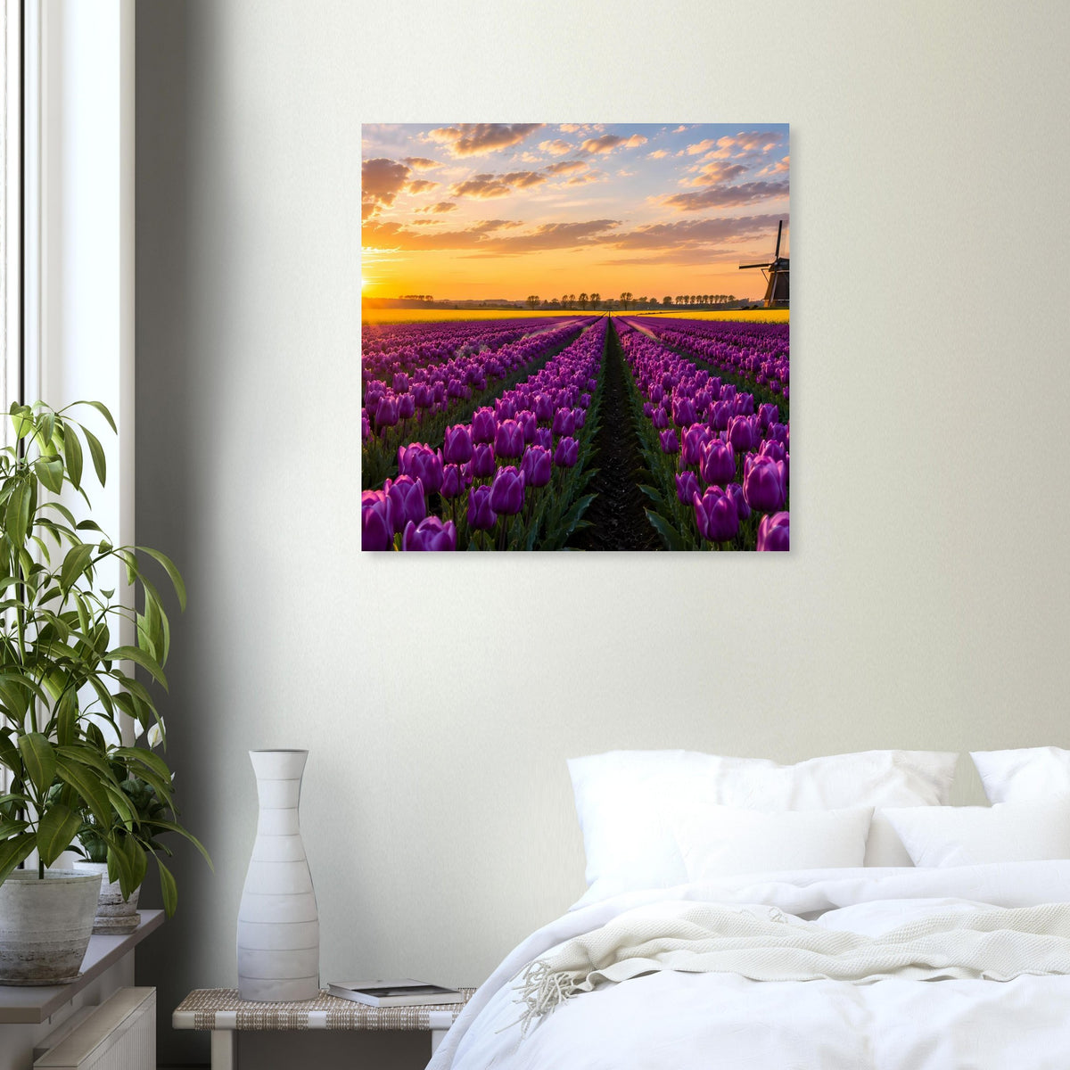 Quadratisches Wandposter mit violettem Tulpenfeld und Sonnenuntergang über dem Horizont