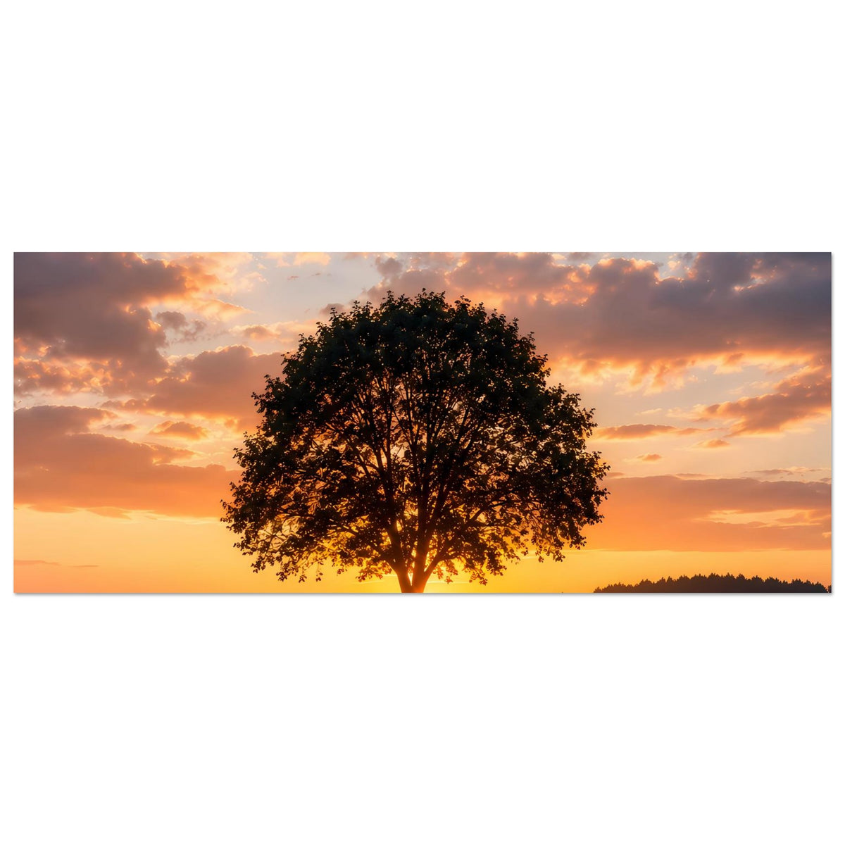 Horizontales Poster mit Einzelbaum, Sonnenuntergangswolken und warmes Licht am Himmel