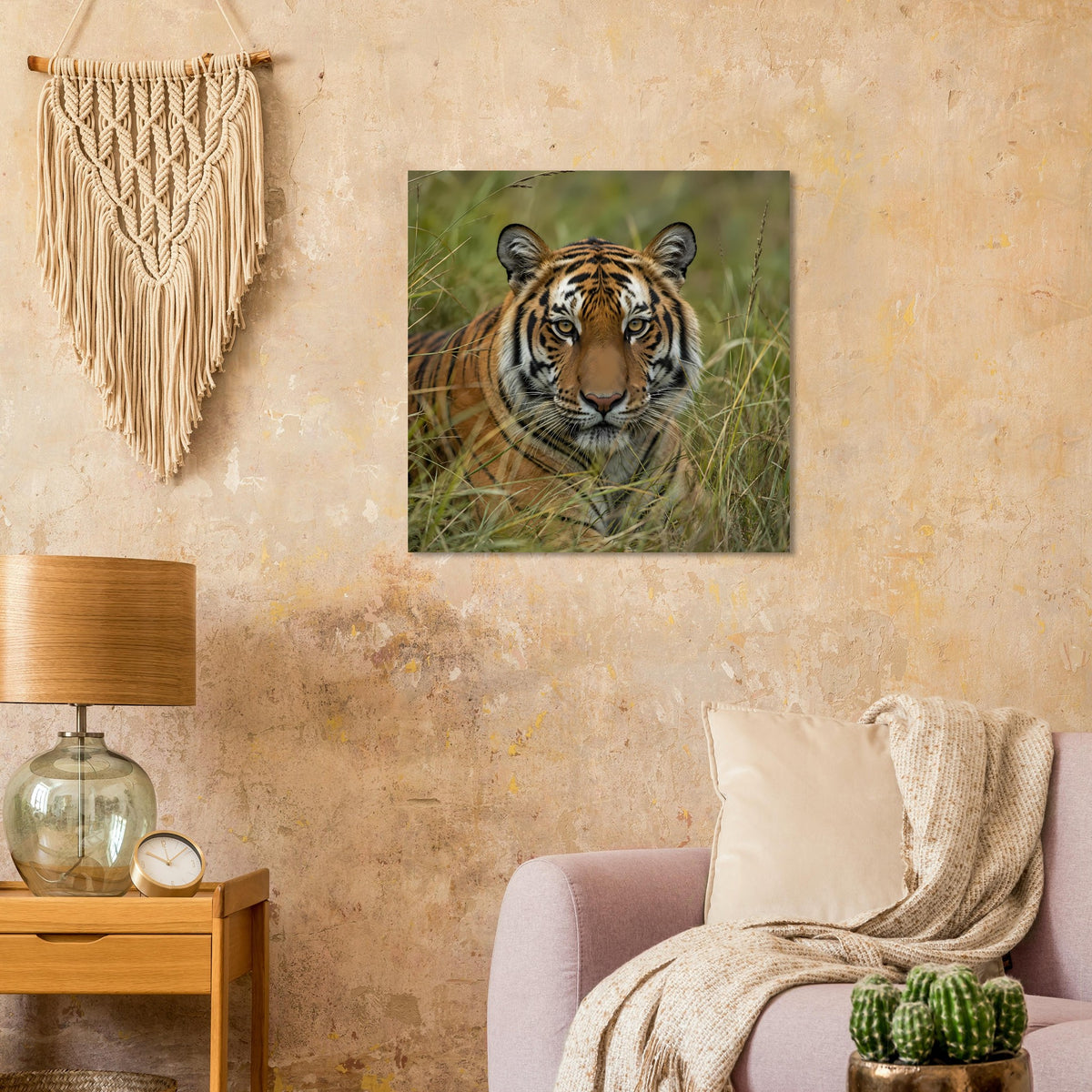 Tiger-Poster: frontal blickender Tiger im Gras, quadratischer Druck