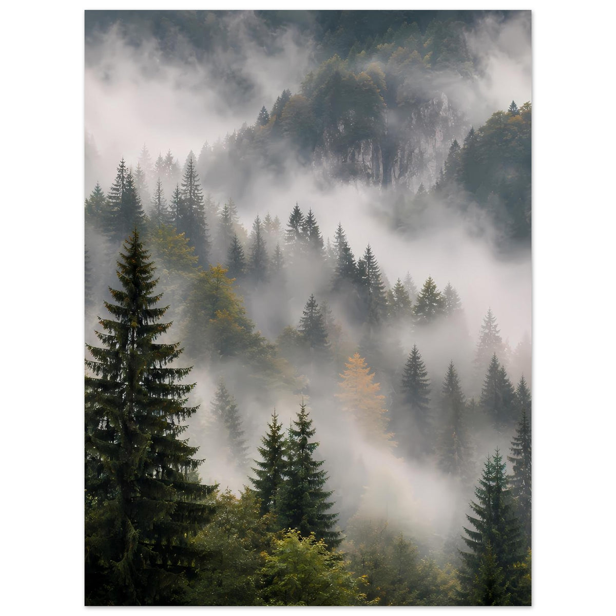 Wandposter mit Waldlandschaft im Nebel, Tannen, Berge und sanftes Lichtspiel