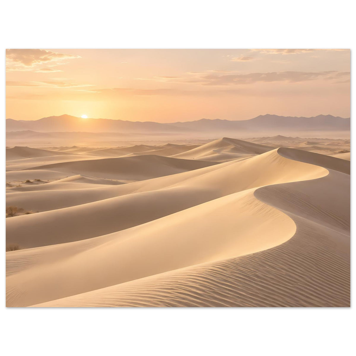 Horizontales Wüstenposter: helles Dünenrelief mit untergehender Sonne im Dämmerlicht