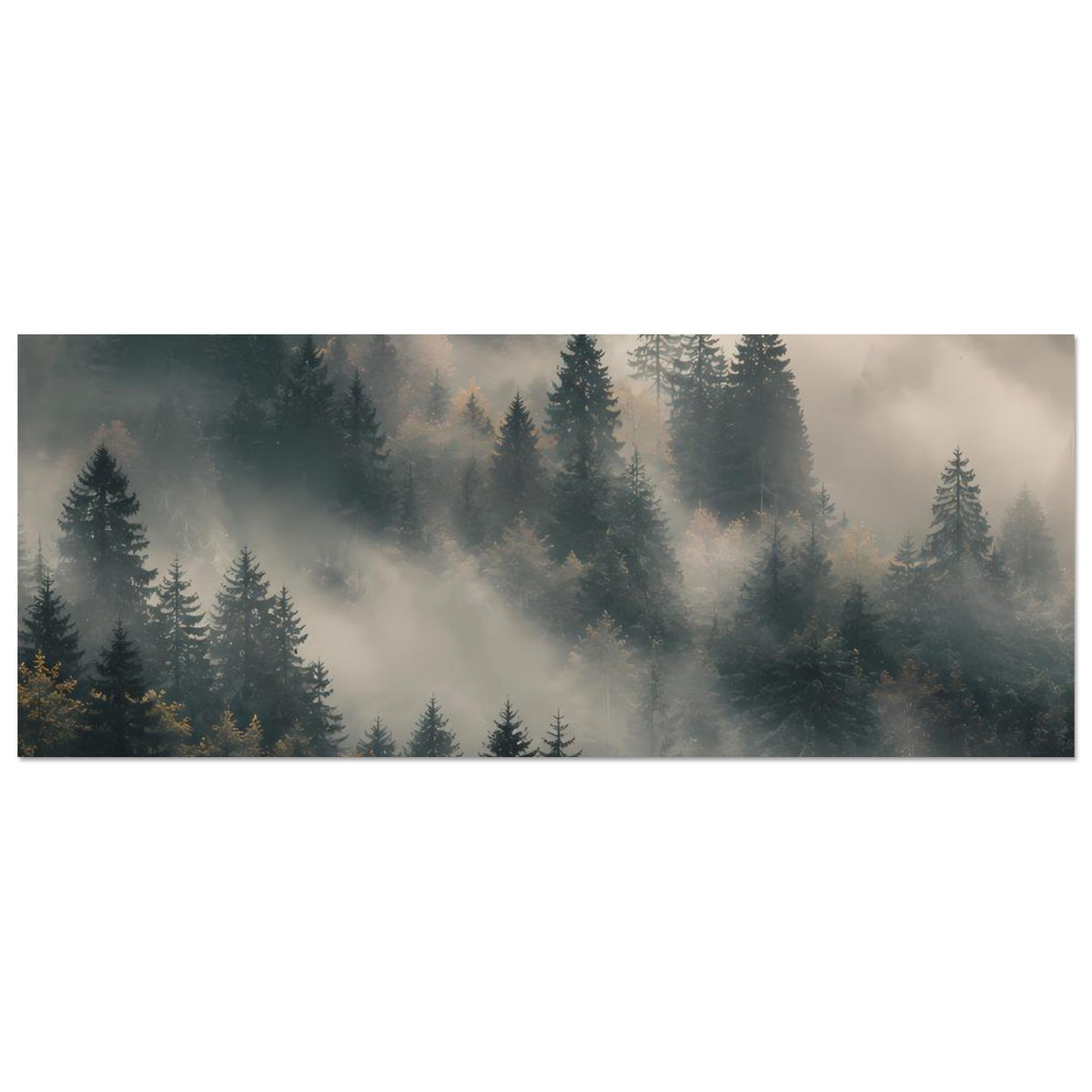 Horizontales Poster mit Tannen im Nebel, sanfte Schleier über dem Wald